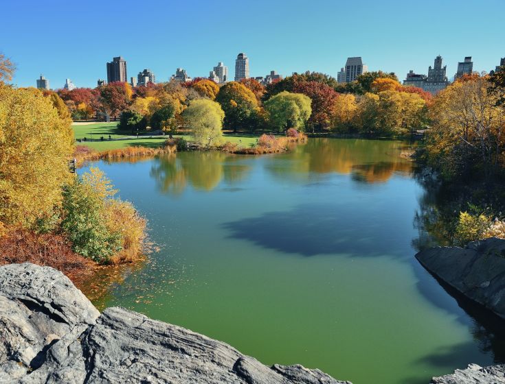 Central Park -NYC