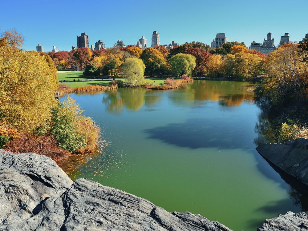 Central Park