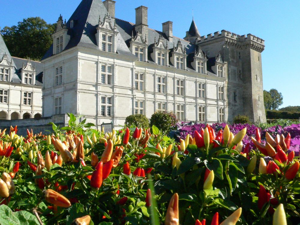 Château de Villandry : les jardins