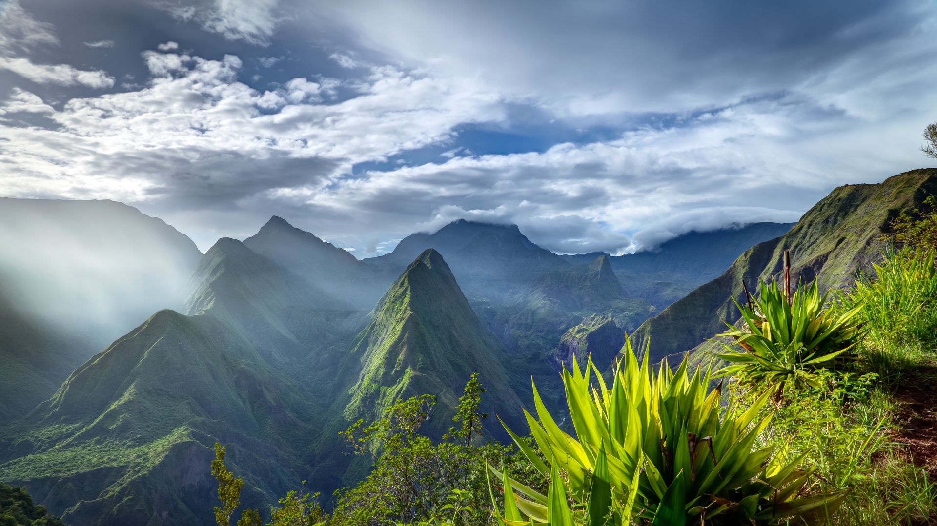 Les mystères du vétiver  Vivez une expérience unique à La Réunion