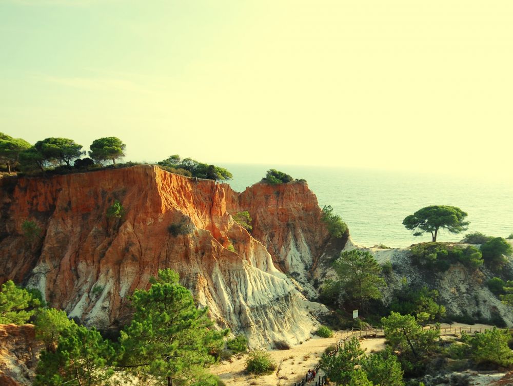 landscape with orange cliffs and pine trees on the Atlantic coast (Algarve, Portugal). instagram effect, square image
