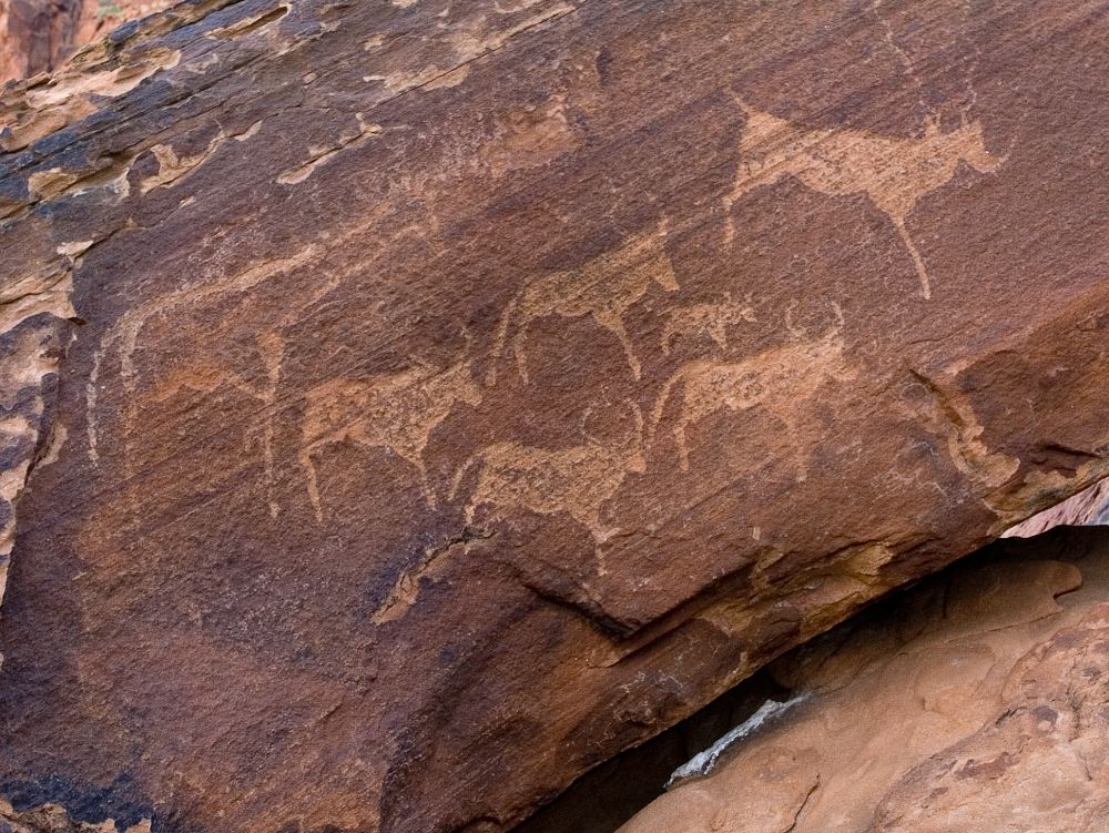 Bushman Rock Art
