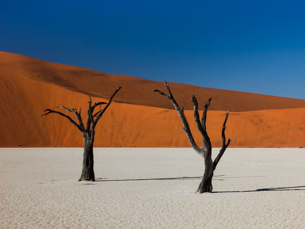 Dead Trees and Dunes in Deadvlei, Namibia