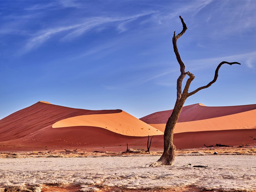 desert of namib with orange sand dunes.