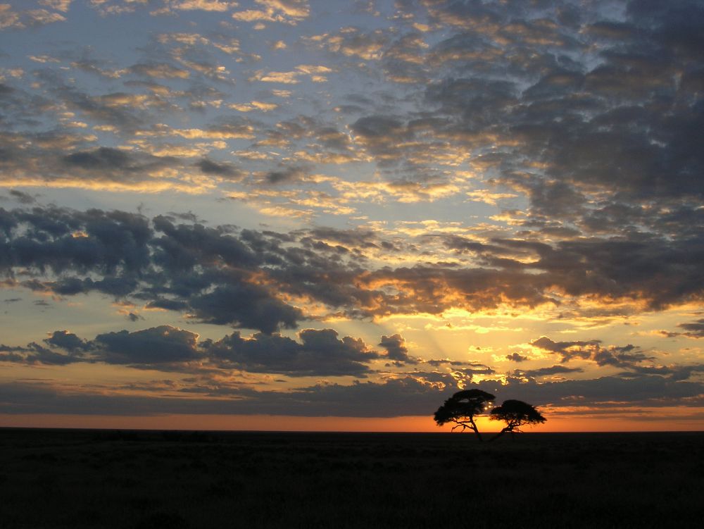 Lever de soleil - Etosha