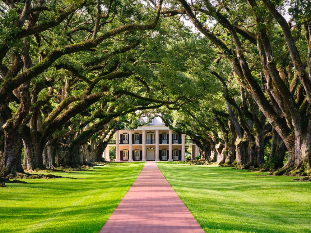 Oak Alley Plantation