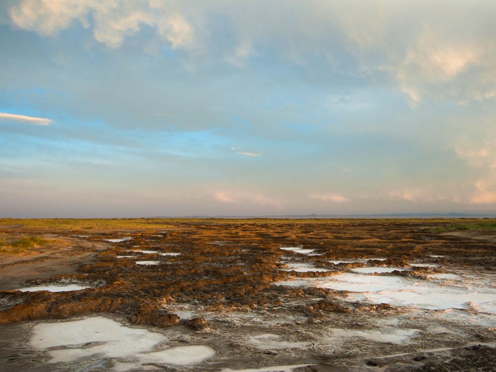 Désert de Gobi