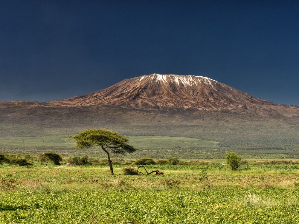 Kilimandjaro