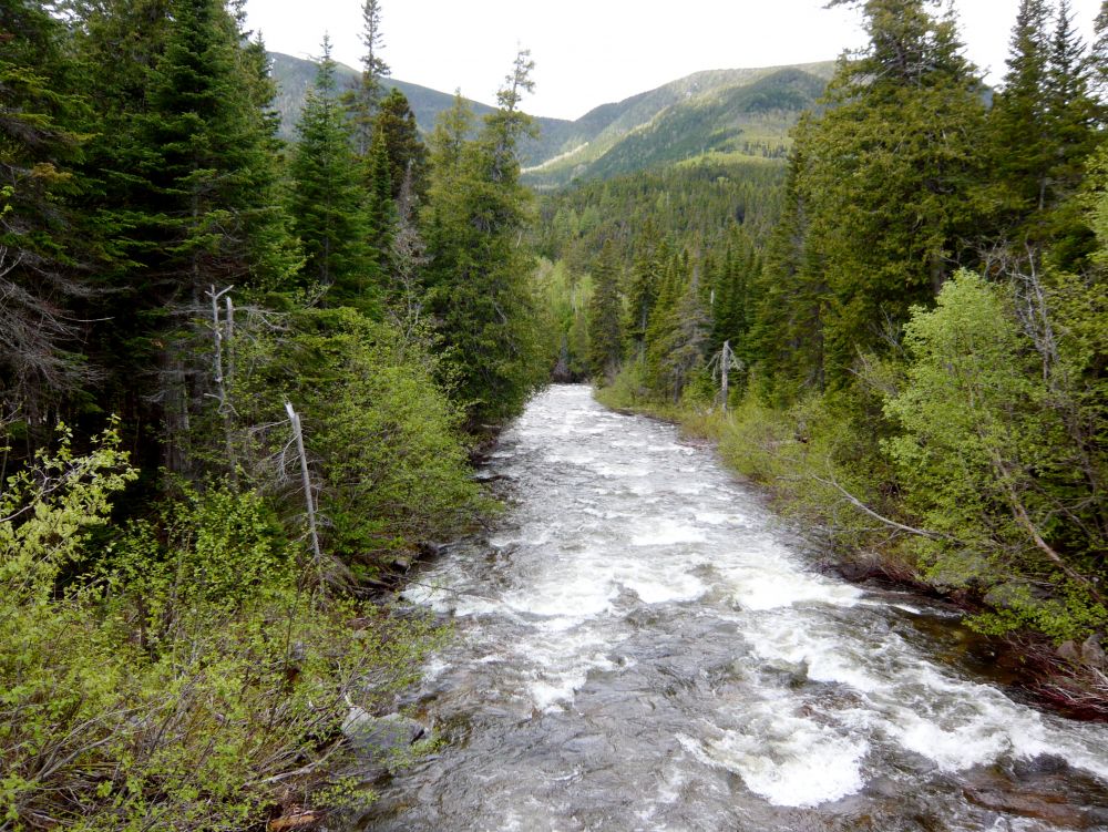 Gaspésie