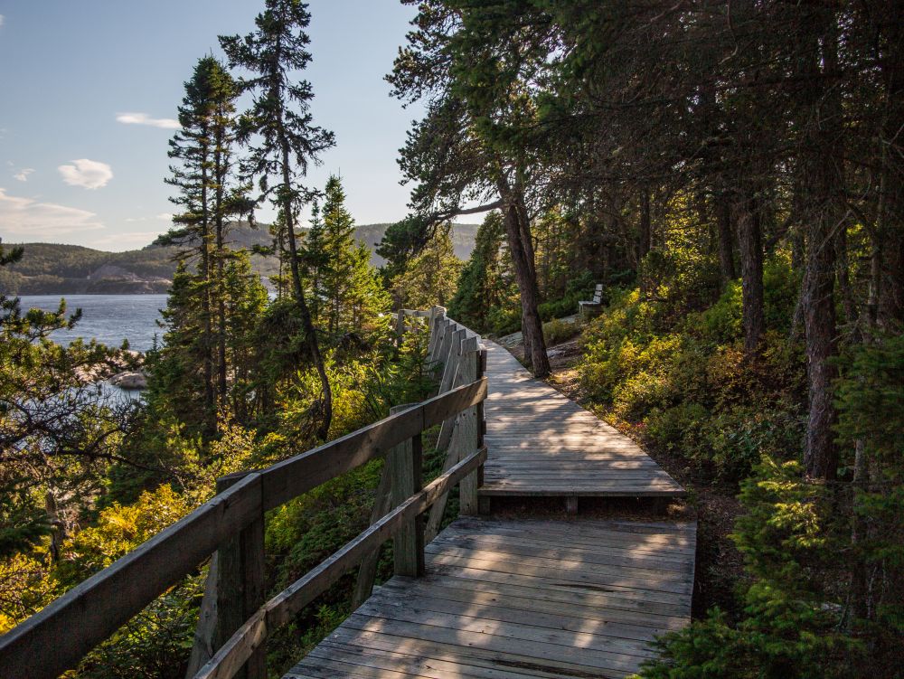 Parc national de Gaspésie