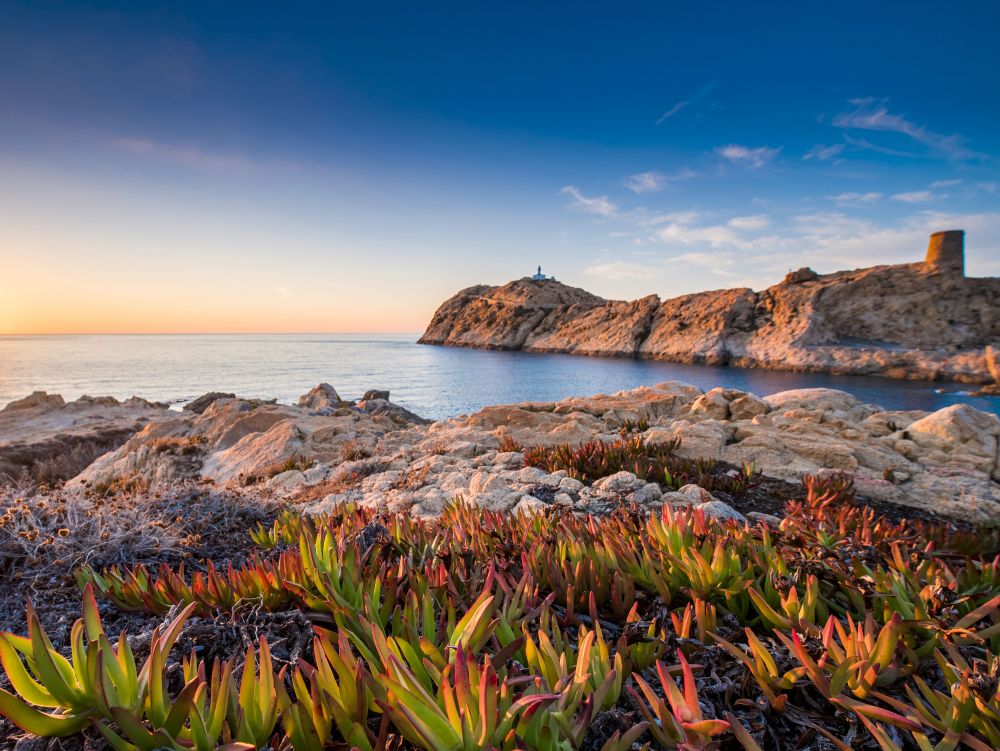 L'Île Rousse