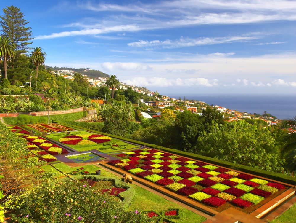Madère - Funchal, le jardin botanique