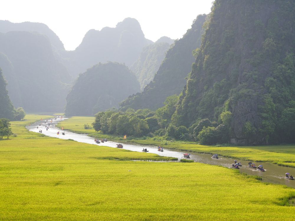 Rizières de Ninh Binh