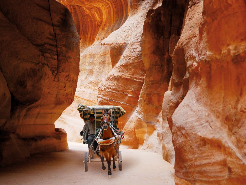 Transport à cheval à Siq, dans la merveille du monde de Petra