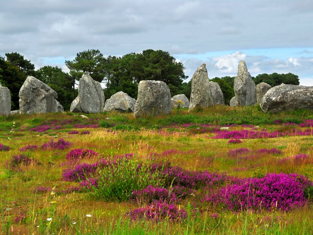 Les alignements de Carnac